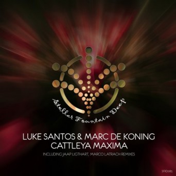 Luke Santos & Marc De Koning – Cattleya Maxima