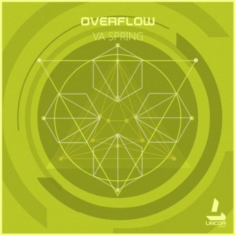 Lincor Apex: Overflow