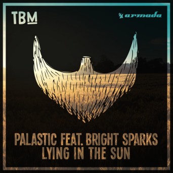 Palastic ft. Bright Sparks – Lying In The Sun