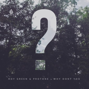 Protone & Roygreen – Why Don’t You EP