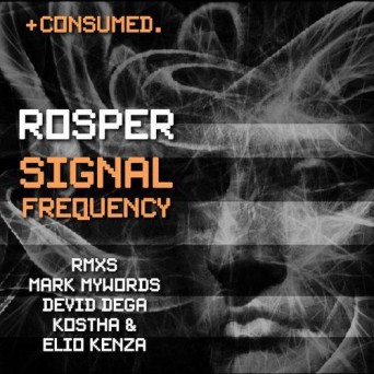 Rosper – Signal Frequency