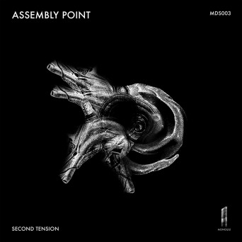 Second Tension – Assembly Point