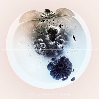 Still Young – White Label (Is This Love)