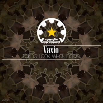 Vaxio – Taking Look What Inside