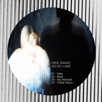 Wide Awake – Velvet Lane