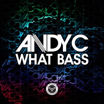 Andy C – What Bass