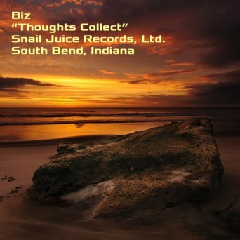 BIZ – Thoughts Collect