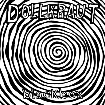 Dollkraut – Blackbox