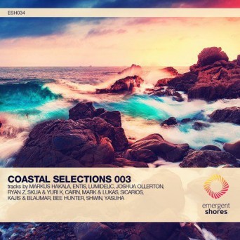 Emergent Shores: Coastal Selections 003