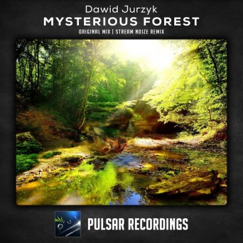 Dawid Jurzyk – Mysterious Forest