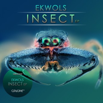 Ekwols – Insect