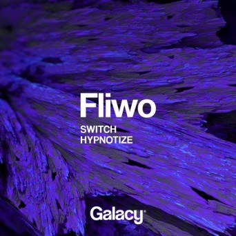 Fliwo – Switch / Hypnotize