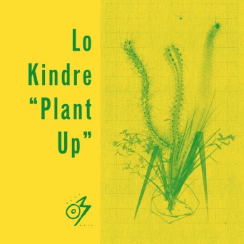Lo Kindre – Plant Up