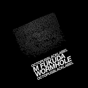 M. Fukuda – Wormhole