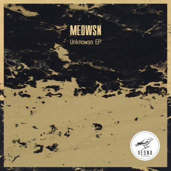 Meowsn – Unknowsn