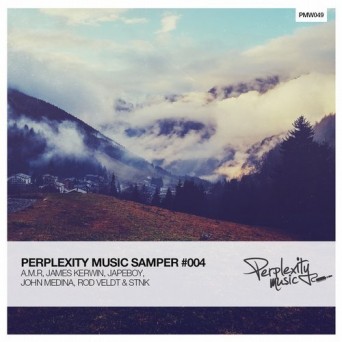 Perplexity Music Sampler #004