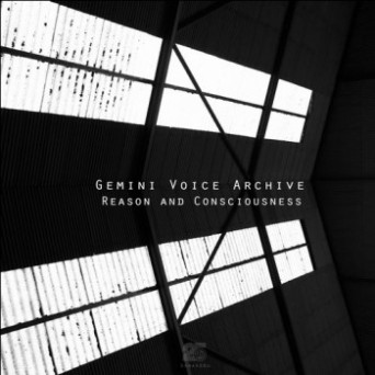 Gemini Voice Archive – Reason And Conciousness