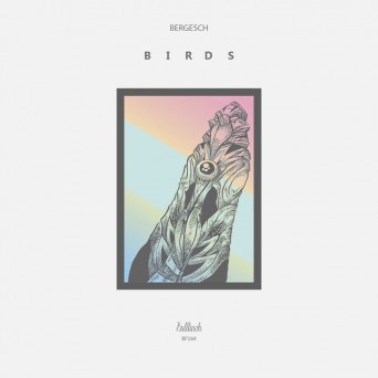 Bergesch – Birds