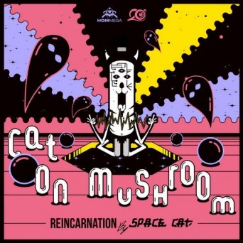 Cat On Mushroom – Reincarnation