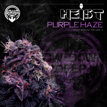 Heist – Purple Haze