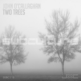 John O’Callaghan – Two Trees