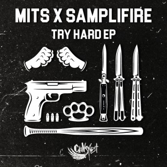 Mits & Samplifire – Try Hard