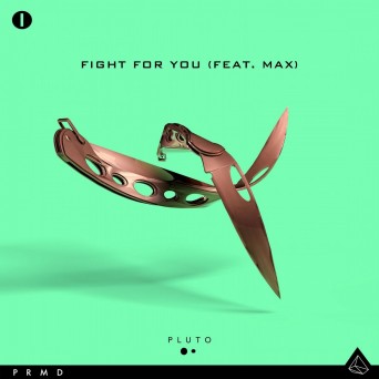 Pluto – Fight For You (ft. Max)