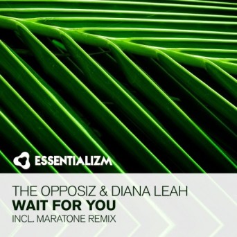 The Opposiz & Diana Leah – Wait For You
