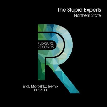 The Stupid Experts – Northern State