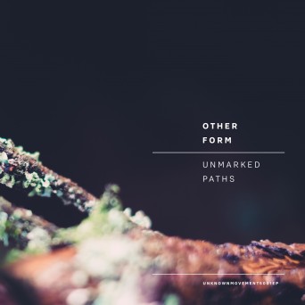 Other Form – Unmarked Paths