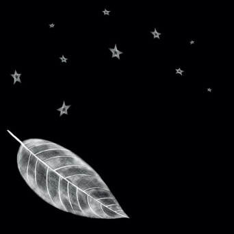 Andy Ash – White Leaf