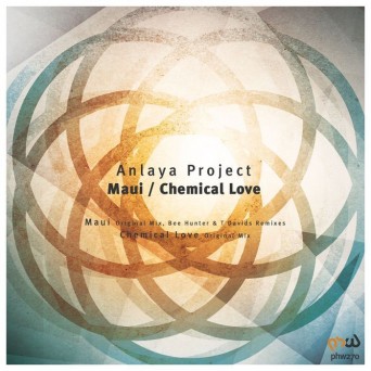 Anlaya Project – Maui