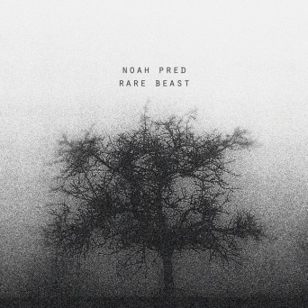 Noah Pred – Rare Beast