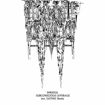 Shkedul – Subsconscious Leverage