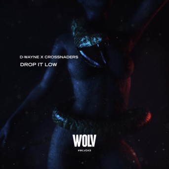 D-Wayne & Crossnaders – Drop It Low