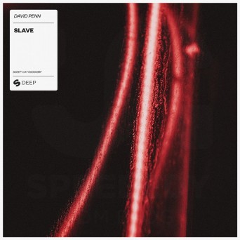 David Penn – Slave