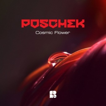 Poschek – Cosmic Flower