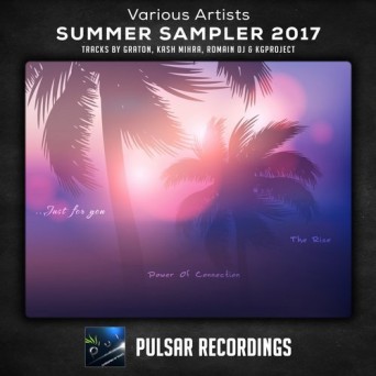 Pulsar Recordings: Summer Sampler 2017