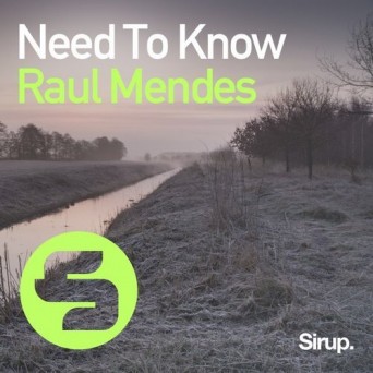 Raul Mendes – Need to Know