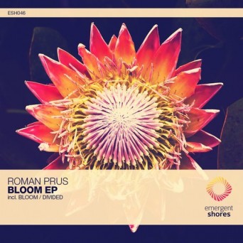 Roman Prus – Bloom / Divided
