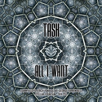 Tash – All I Want