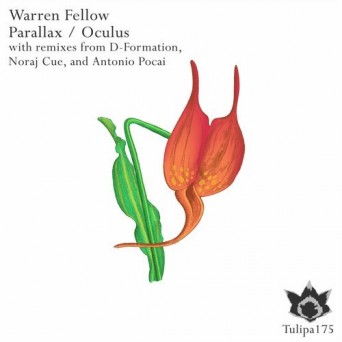 Warren Fellow – Parallax / Oculus