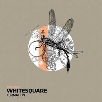 Whitesquare – Formation
