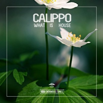 Calippo – What Is House
