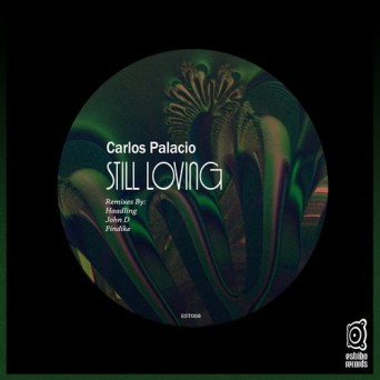 Carlos Palacio – Still Loving