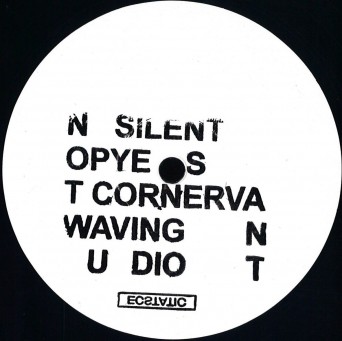 Not Waving & Pye Corner Audio & Silent Servant – Untitled EP