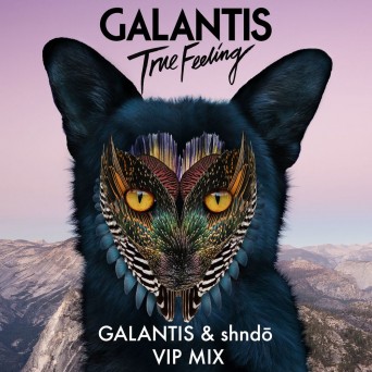 Galantis – True Feeling (Galantis & shndō VIP Mix)