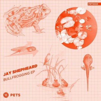 Jay Shepheard – Bullfroggin