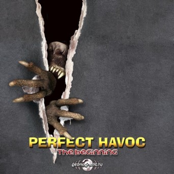 Perfect Havoc – The Beginning