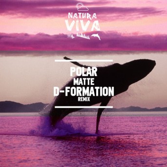 Polar – Matte